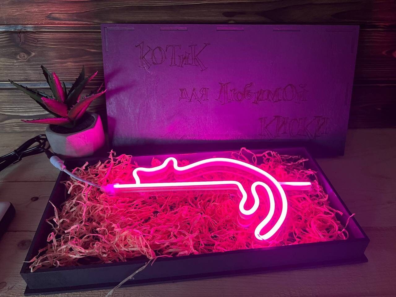 A photo of the nightlight in a hand, emphasizing its portability.