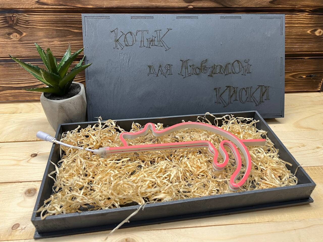 A flat lay image of the nightlight, showcasing its compact size and simple design.