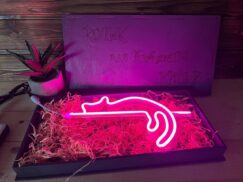 A photo of the nightlight in a hand, emphasizing its portability.